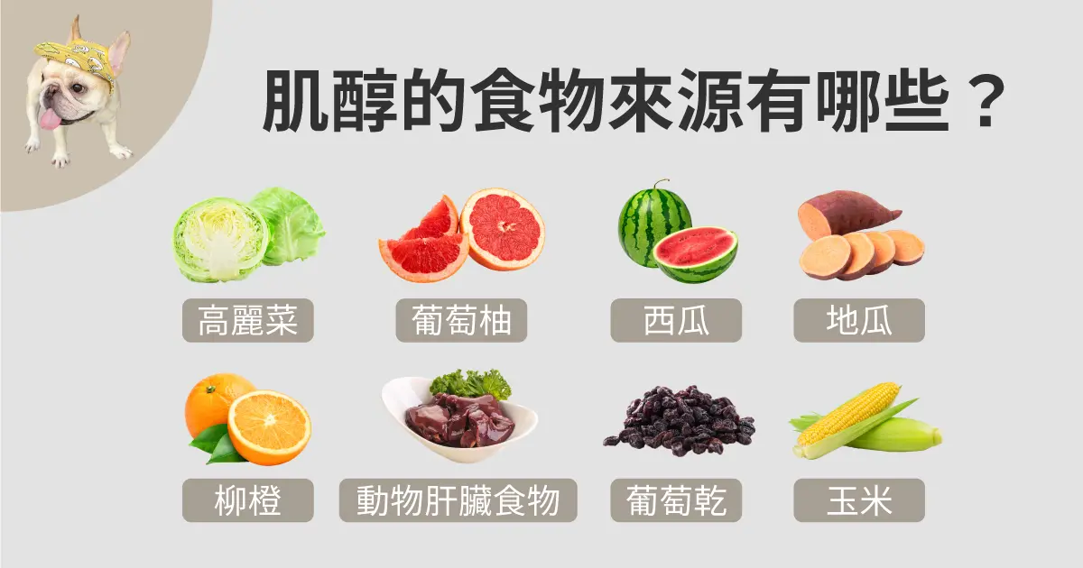 肌醇的食物來源有哪些：高麗菜、葡萄柚、西瓜、地瓜、柳橙、動物肝臟食物、葡萄乾、玉米